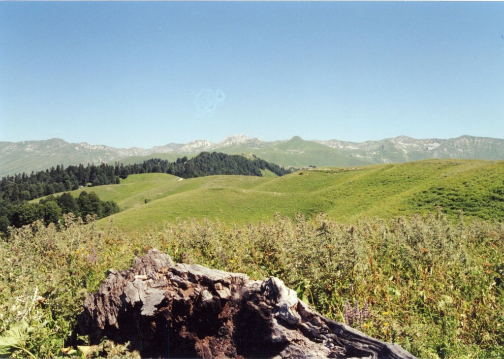 Вид на район треугольника август 2000 года